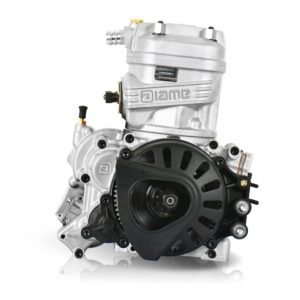 Moteur Iame X30 125cc